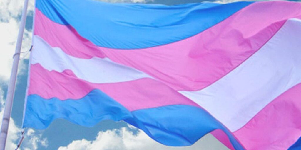 Como o Preconceito Afeta o Diagnóstico e Tratamento do Câncer em Pessoas Trans Imagem do artigo