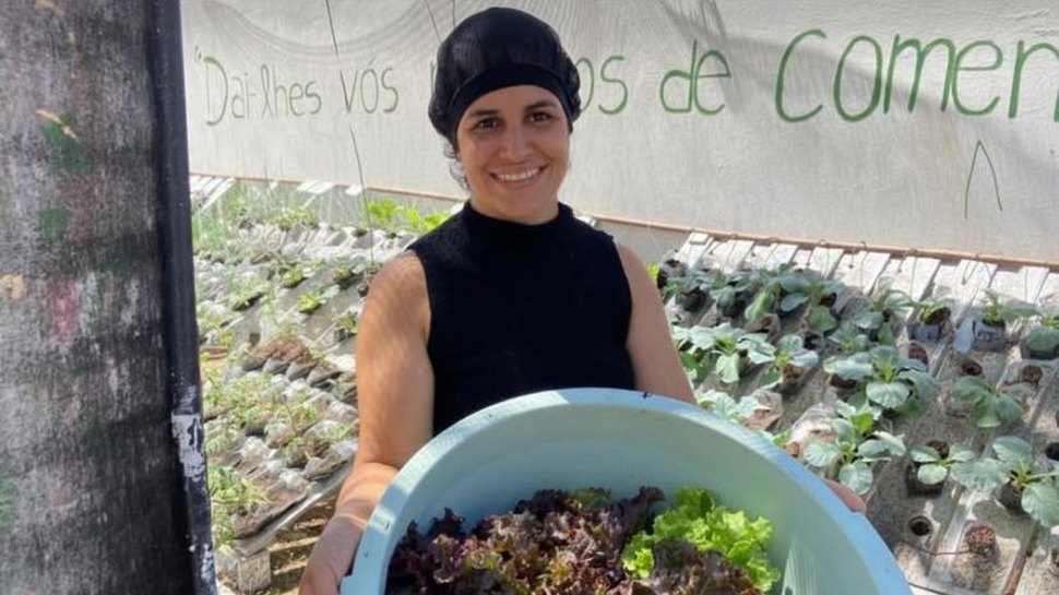 Sedics Lança Segunda Horta Hidropônica em Maceió para Promover Saúde e Sustentabilidade Imagem do artigo