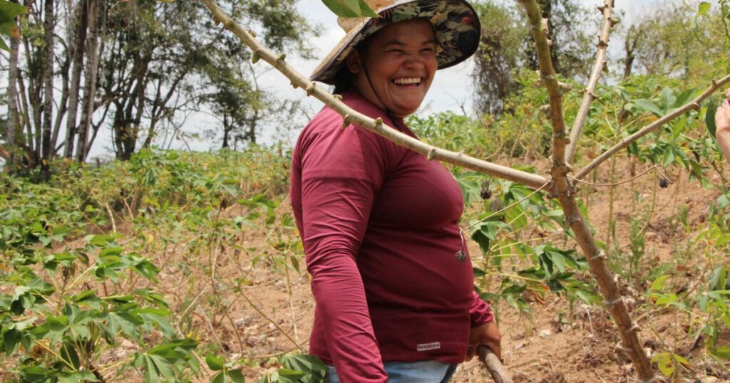 Interior de Alagoas Cresce no PIB e Supera Maceió, Aponta IBGE