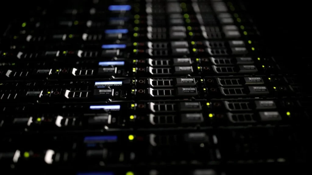 Rumo à Cultura de Dados: A Importância da Interpretação Humana