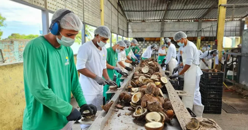 Alagoas Prioriza Cooperativas Tradicionais para Fornecimento Alimentar nas Escolas