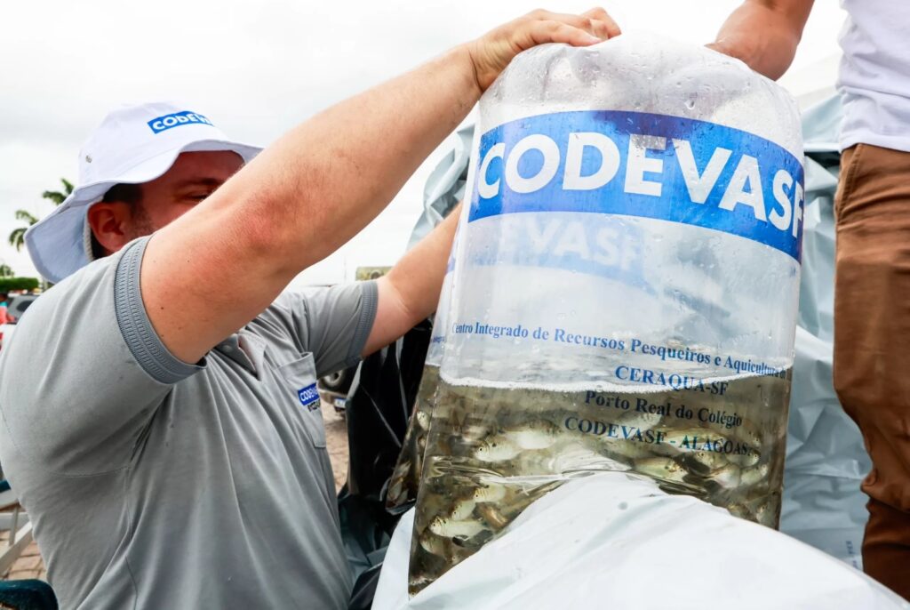 Alagoas Receberá o Maior Orçamento da Codevasf em 2025 - Indicação de Desenvolvimento