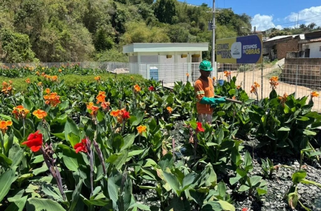 Avanço do Renasce Salgadinho: Canalização e Saneamento em Maceió Concluídos em 2025