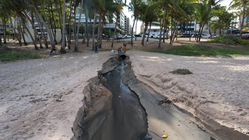 IMA Avalia Contaminação em Praia da Ponta Verde após Denúncias IMA Avalia Contaminação em Praia da Ponta Verde após Denúncias
