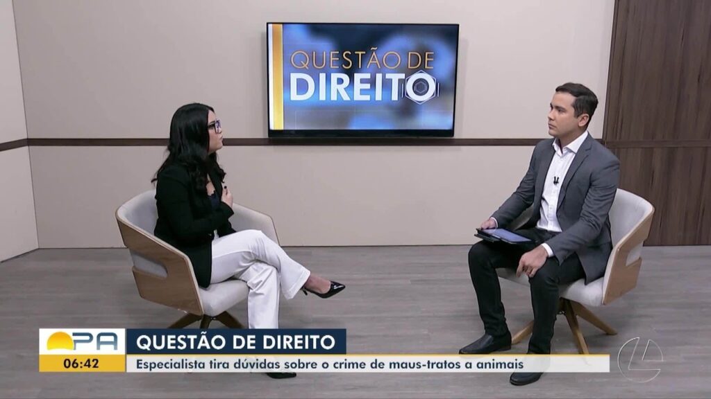 Polícia de Maceió Investiga Envenenamento de 13 Gatos em Condomínio Polícia de Maceió Investiga Envenenamento de 13 Gatos em Condomínio