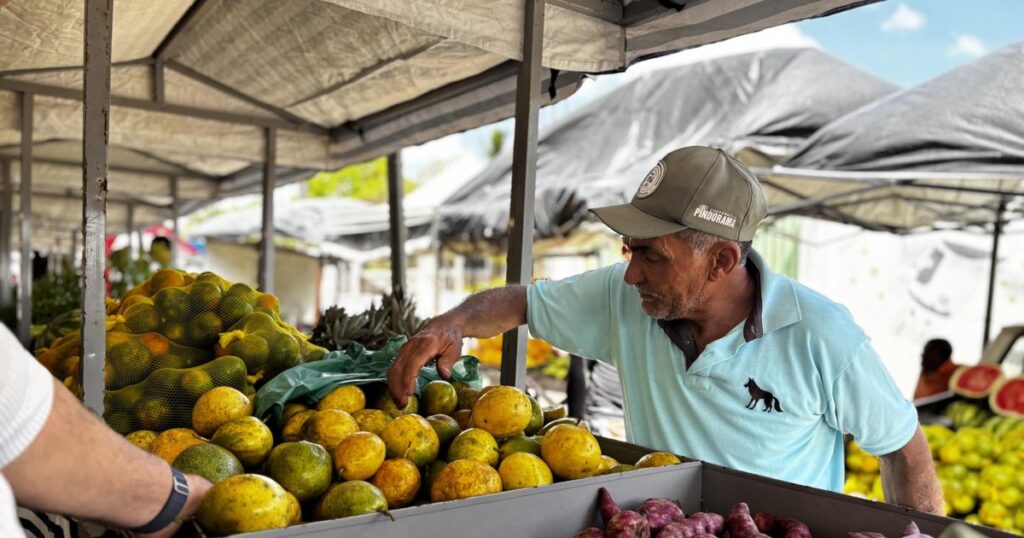 Rota do Circuito Regional de Feiras da Agricultura Familiar: Potencial Produtivo e Turístico em Dest