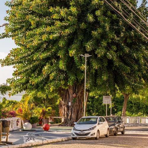 Rota dos Mirantes: Valorizando a História e a Memória de Maceió Rota dos Mirantes: Valorizando a História e a Memória de Maceió