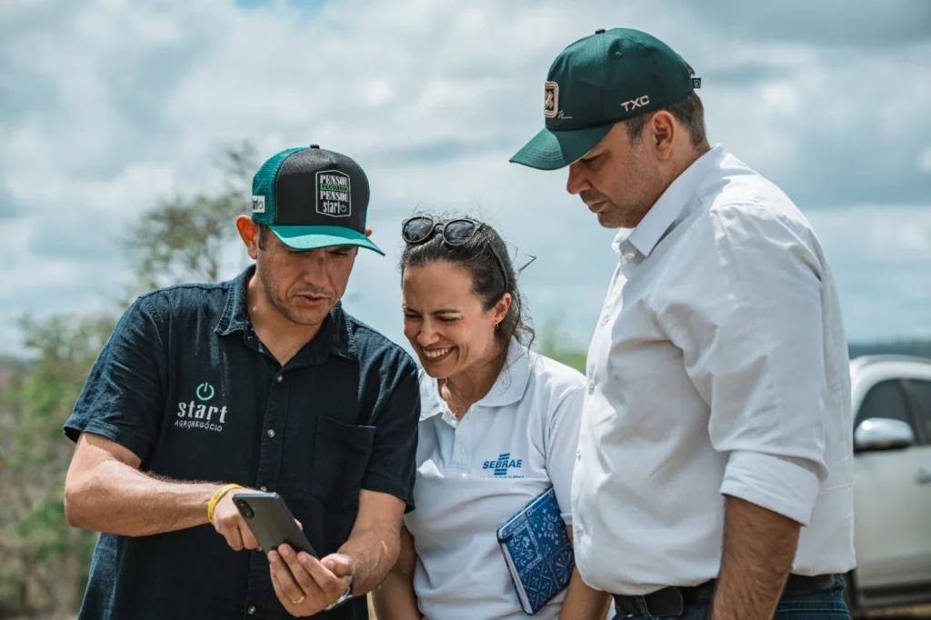 A Revolução na Pecuária Alagoana: Como a Gestão de Dados Transforma o Setor