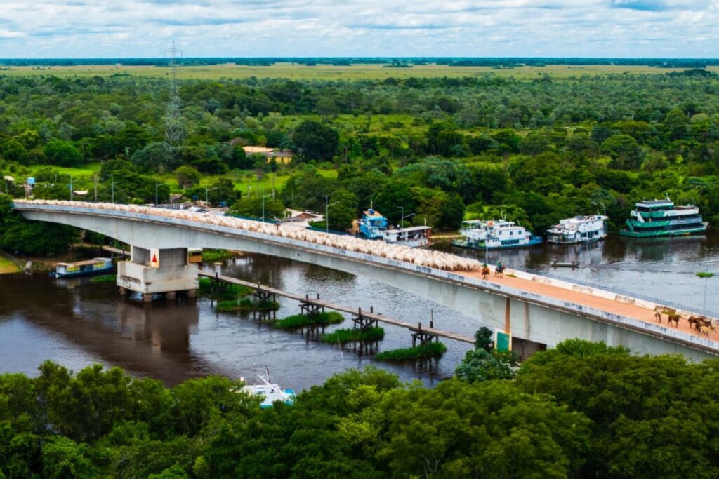 Cultura Pantaneira: A Comitiva Registrada por Luiz Felipe Mendes no MS