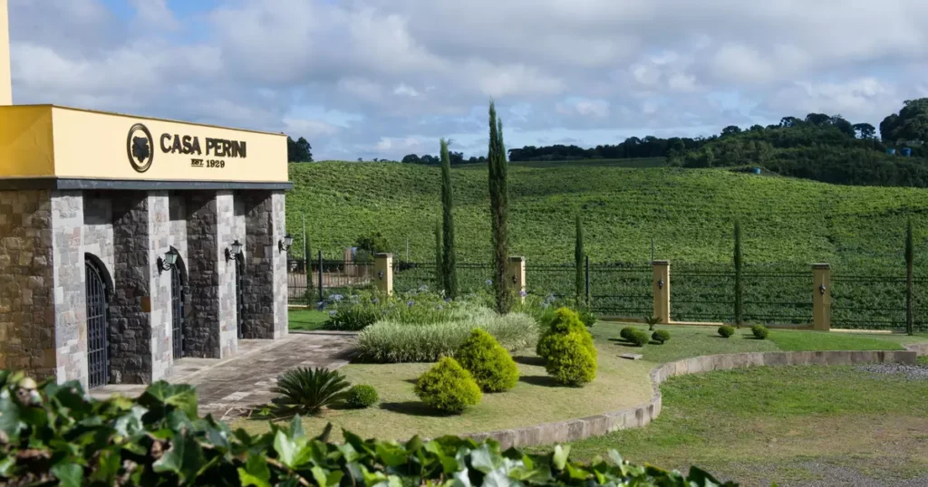 Experiência Única na Saga da Uva: Mergulhe na Cultura da Colheita na Casa Perini Experiência Única na Saga da Uva: Mergulhe na Cultura da Colheita na Casa Perini