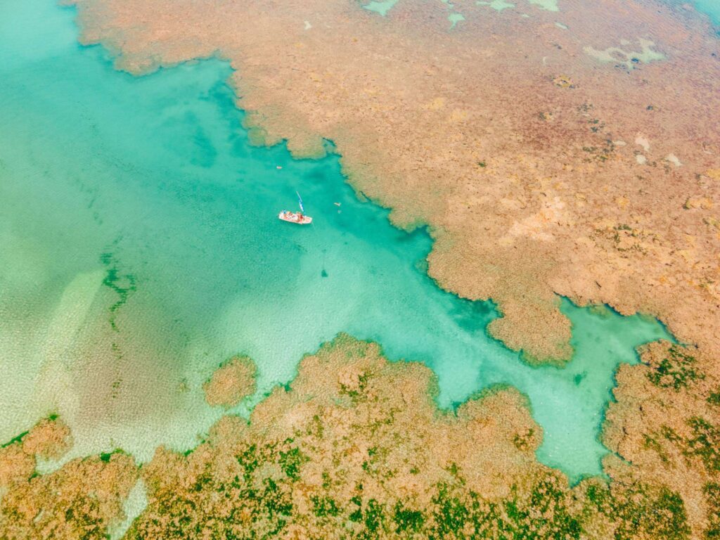 Projeto Corais de Alagoas Avança no Litoral: Preservação e Sustentabilidade
