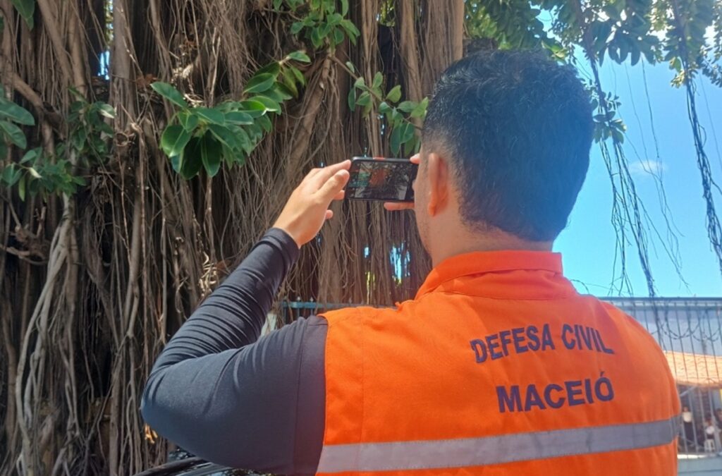 Defesa Civil de Maceió Inicia Estudo para Avaliar a Saúde das Árvores em Praças