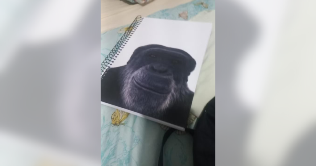 Professor Demitido em Maceió por Comparar Aluno Negro a Chimpanzé