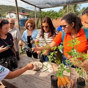Sebrae Revoluciona o Turismo em Alagoas com Novas Roteiros Sebrae Revoluciona o Turismo em Alagoas com Novas Roteiros