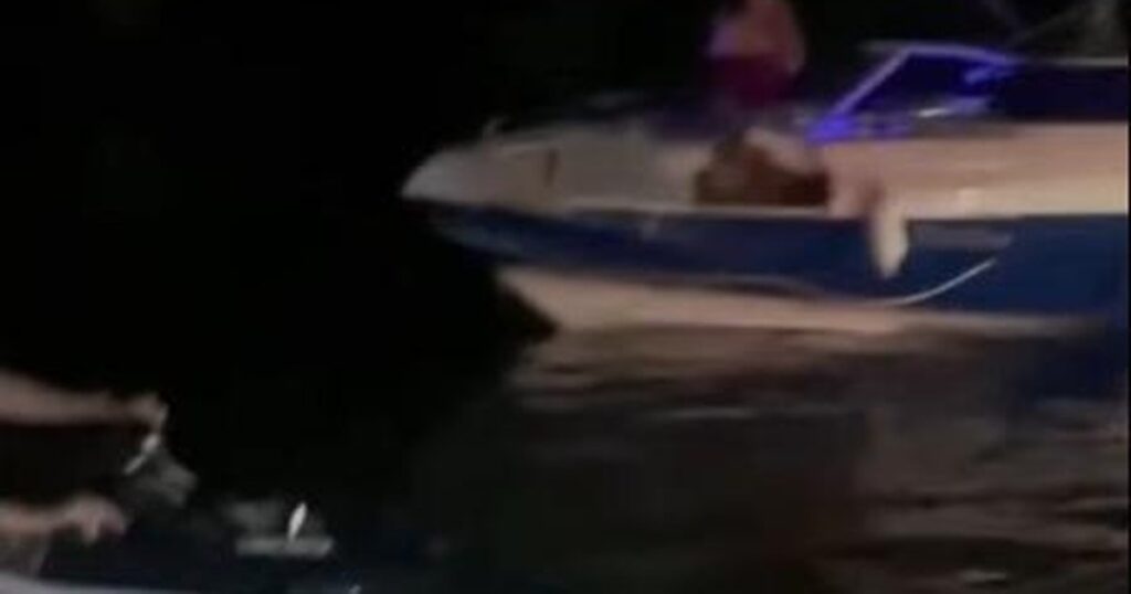 Tragédia na Ponte Divaldo Suruagy: Acidente com Lancha em Maceió Deixa Uma Vítima Fatal Tragédia na Ponte Divaldo Suruagy: Acidente com Lancha em Maceió Deixa Uma Vítima Fatal