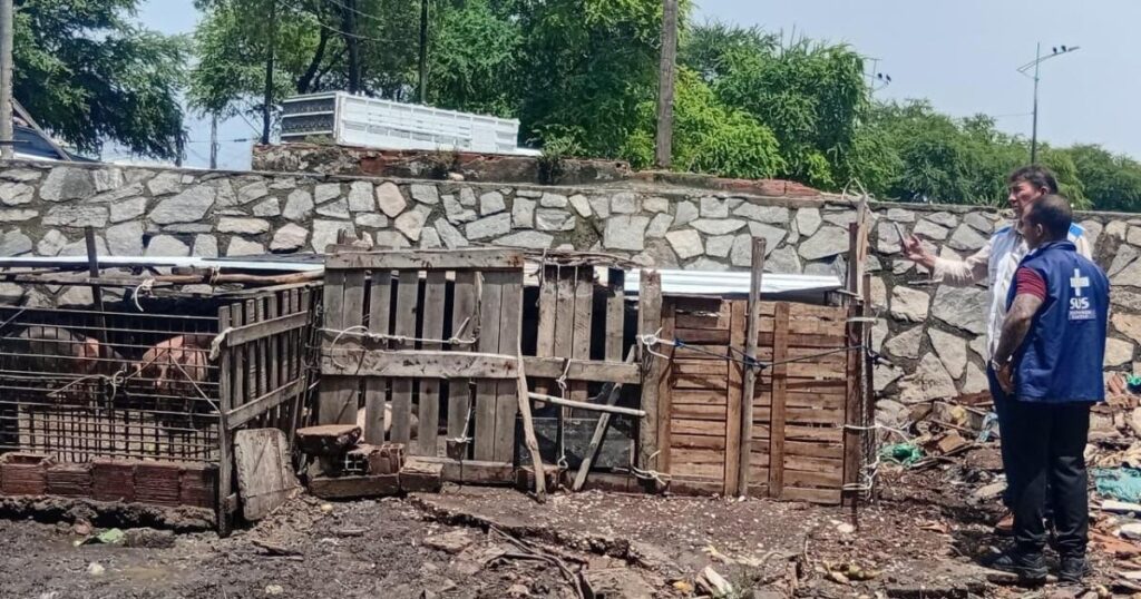 Vigilância Sanitária Combate Criação Irregular de Suínos na Levada em Maceió