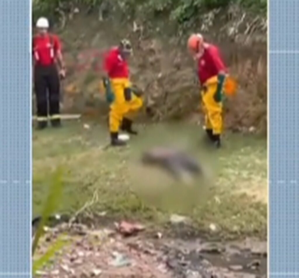 Corpo em Decomposição Encontrado em Córrego no Vale do Reginaldo, Maceió