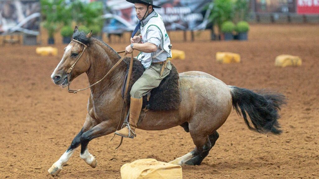 Rodeio Internacional de Pelotas 2024: Uma Tradicional Festa Gaúcha com Expectativa de 20 Mil Visitan