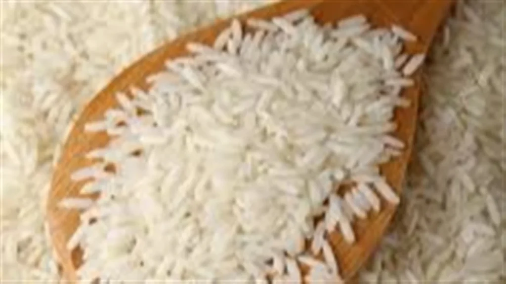 Produção de Arroz em Alagoas Cresce 41% com Programa Estadual Produção de Arroz em Alagoas Cresce 41% com Programa Estadual