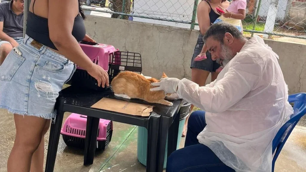 Ação Gratuita de Saúde Animal em Maceió Atende 140 Pets e Seus Tutores
