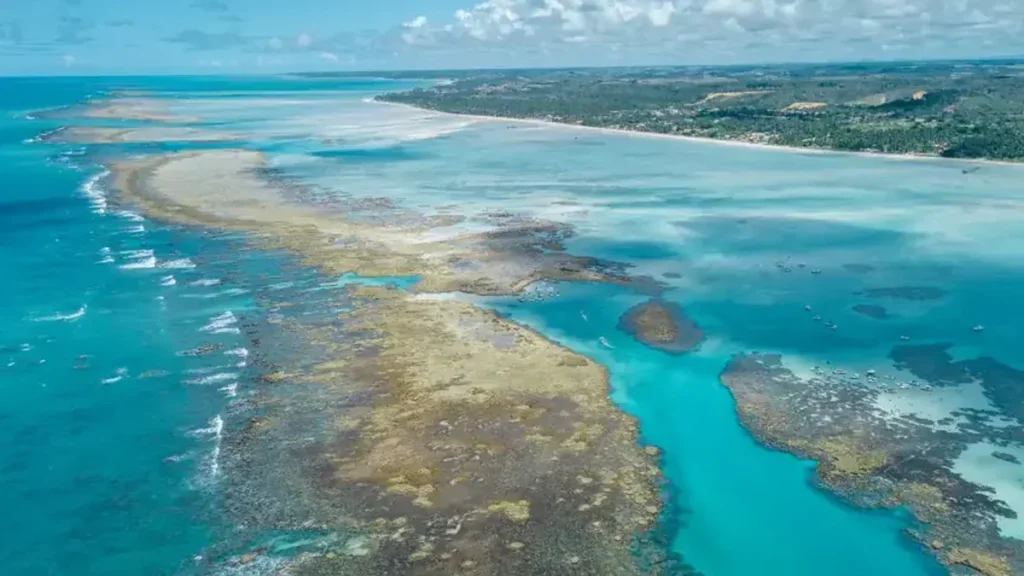 Projeto Rota dos Corais impulsiona turismo sustentável entre Pernambuco e Alagoas com R$ 3,3 milhões