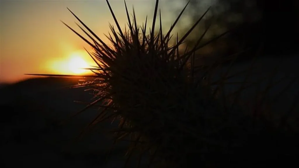 Instabilidade e Tempo Seco Marcam a Semana em Alagoas com Temperaturas Entre 20°C e 33°C