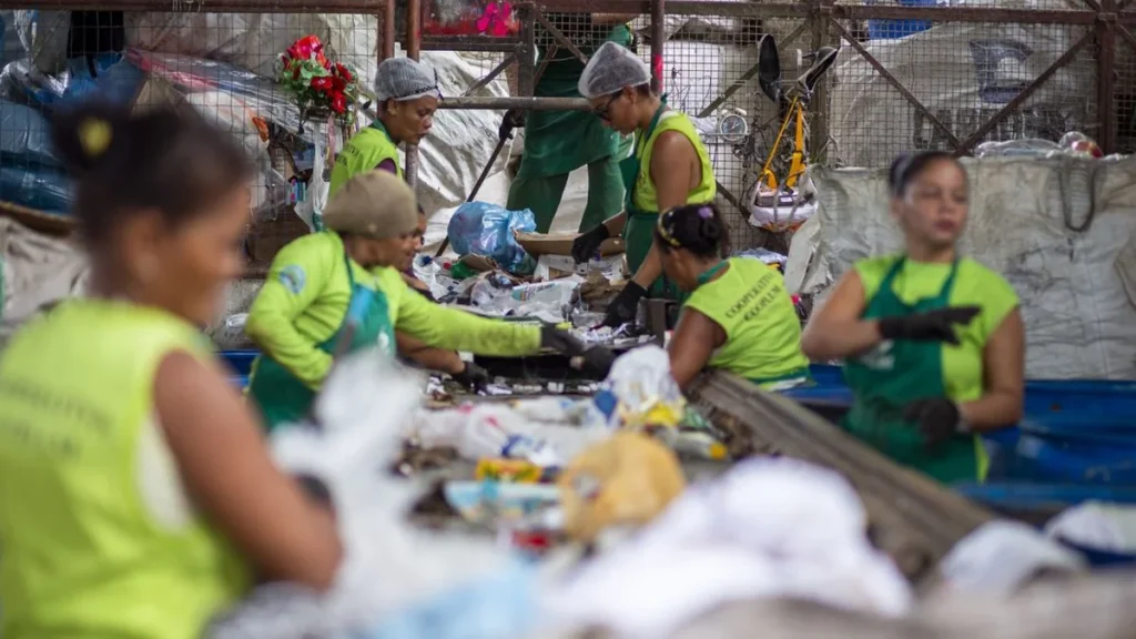 Cooperativas de Reciclagem em Alagoas Superam Média Nacional e Fortalecem Economia Circular