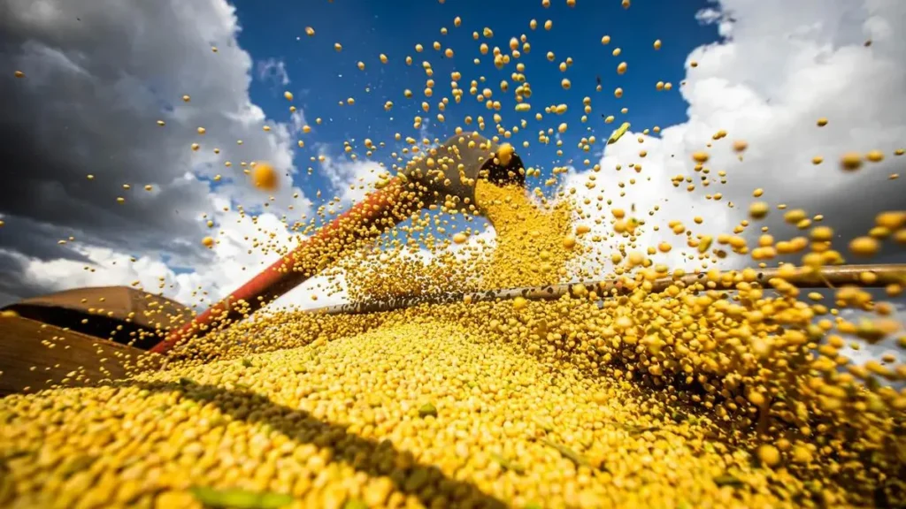 Safra Recorde de Grãos no Brasil em 2025/2026: Impactos Práticos para a Economia de Alagoas