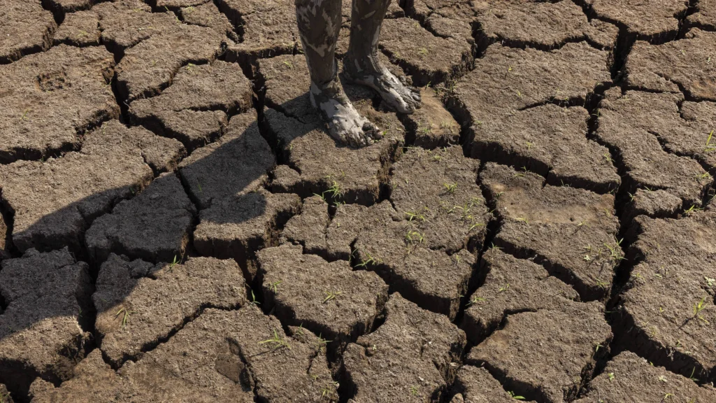El Niño já começou e pode se intensificar para nível moderado ou forte, alerta agência dos EUA