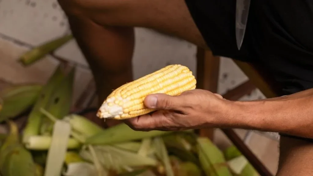 Comidas Típicas do São João em Alagoas: Tradição e Cultura que Resistêm ao Tempo