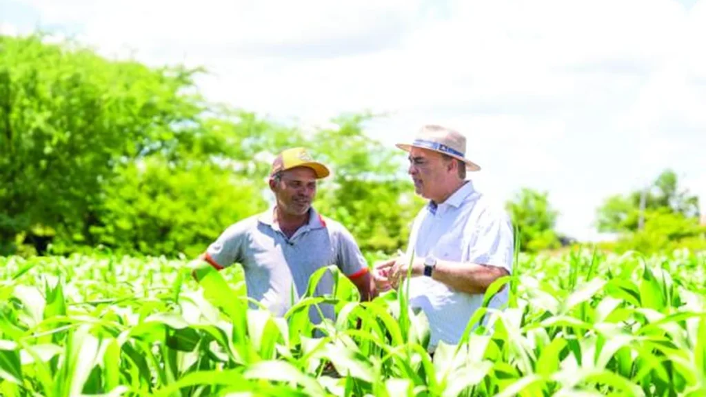Garantia-Safra injeta R$ 32 milhões na economia de 34 municípios alagoanos em 2024