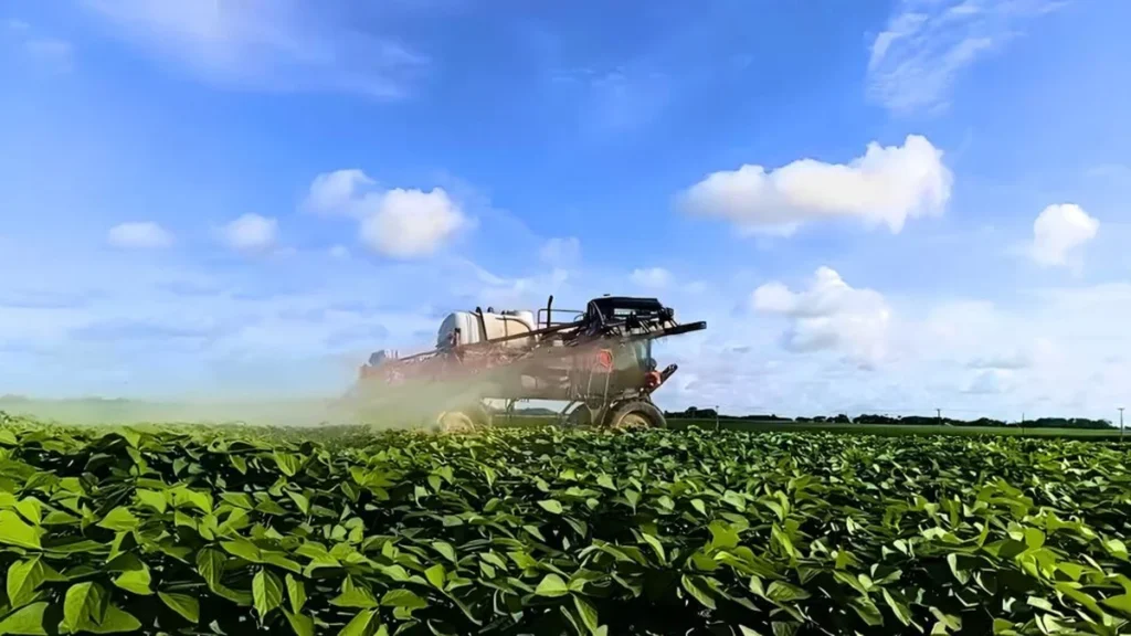 Alagoas amplia cultivo de soja com técnica inovadora para proteger sementes