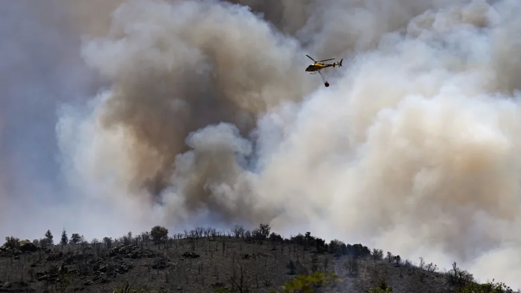 Incêndios na Europa destroem mais de 17 mil hectares de florestas em meio a calor extremo
