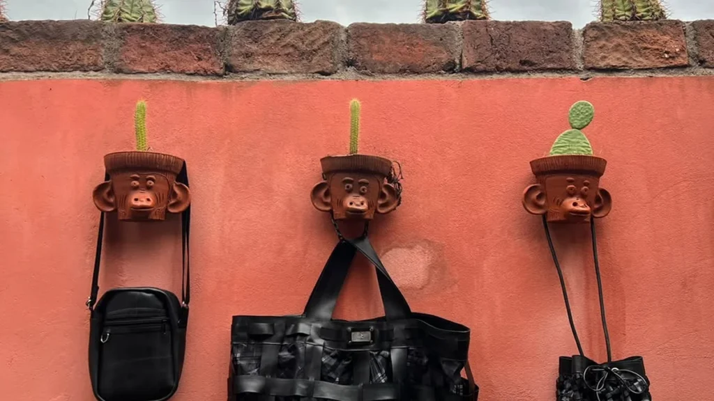 Moda sustentável em Alagoas: Transformando resíduos em estilo com propósito