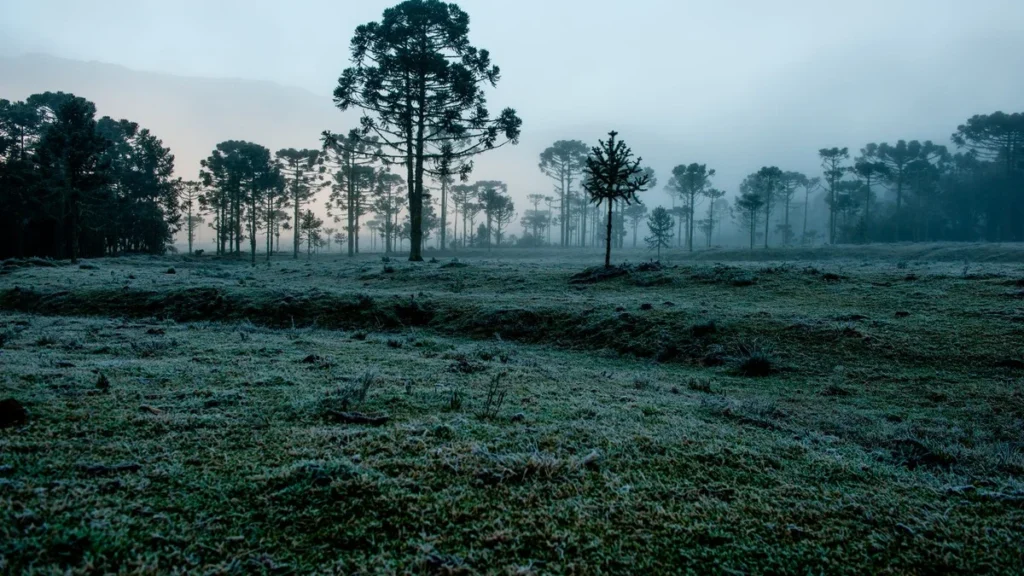 Clima em Julho no Brasil: Mais Frio e Chuva Acima da Média em 2026